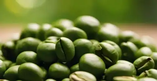 Green Coffee Bean Extract vs Garcinia Cambogia: Weight Loss Duel