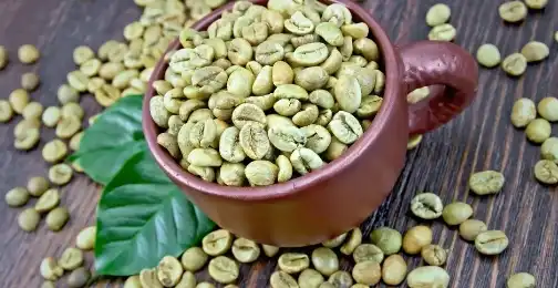 What are the applications of Green Coffee Bean Extract Powder in supplements?