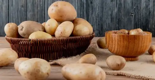 Koje su ključne aminokiseline u krumpirovom proteinskom prahu?