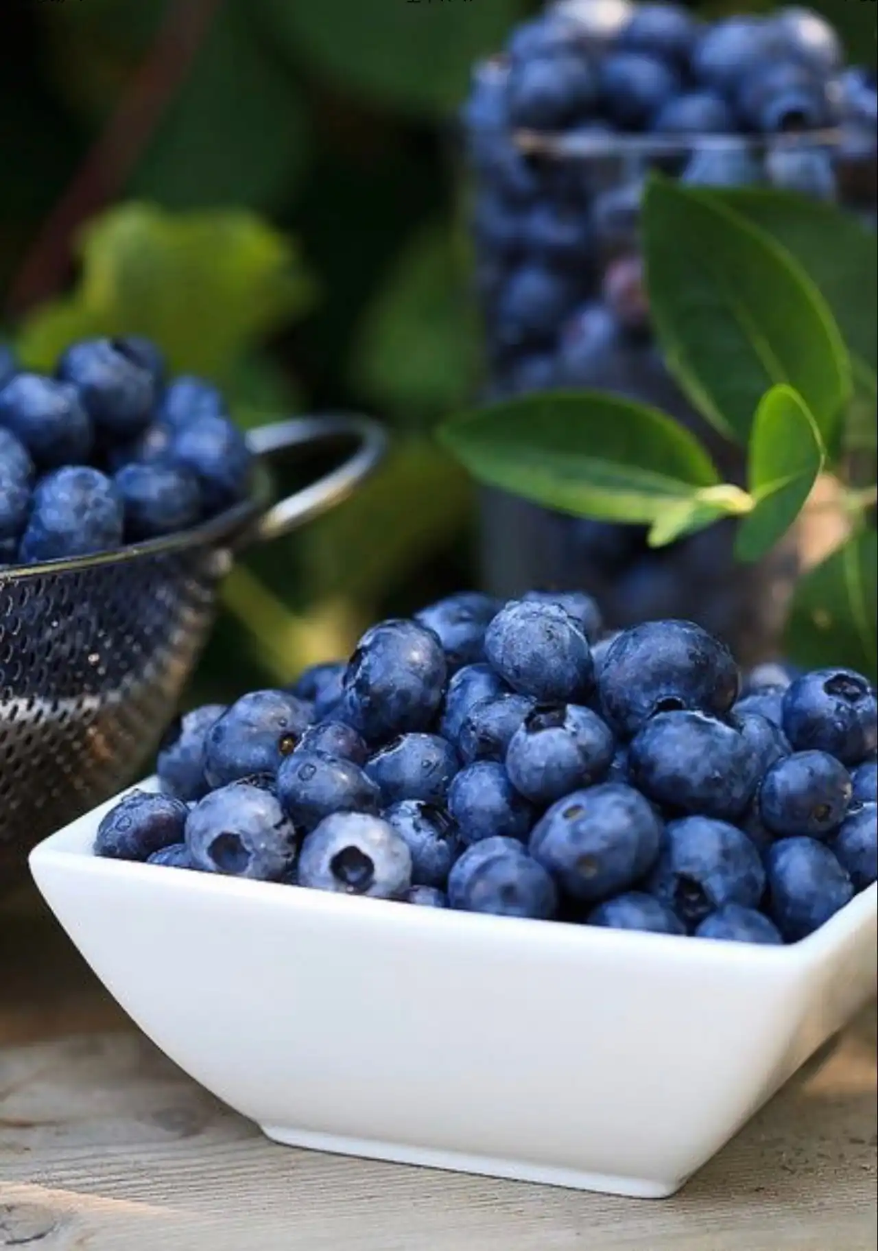 Ultimate Guide to Buying Pterostilbene Powder