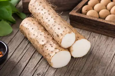 Beth yw Powdwr Diosgenin?