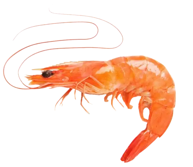 What Makes Astaxanthin Powder a Popular Natural Antioxidant?
