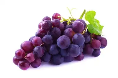 The Resveratrol Powder Uses in Supplements and Cosmetics