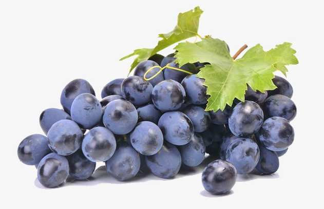 Understanding Resveratrol: A Potent Antioxidant Compound