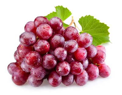 The Pharmacology of Resveratrol: Mechanisms and Interactions