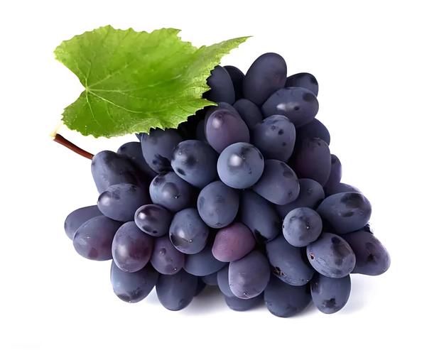 The Role of Resveratrol in Cellular Health and Autophagy