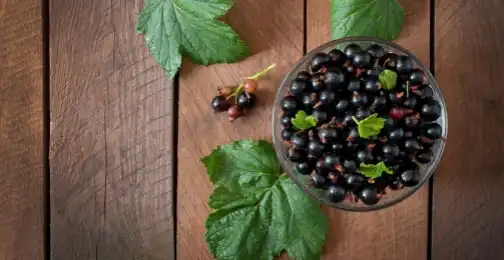 Kodi Mungatenge Elderberry Tingafinye Tsiku Lililonse?
