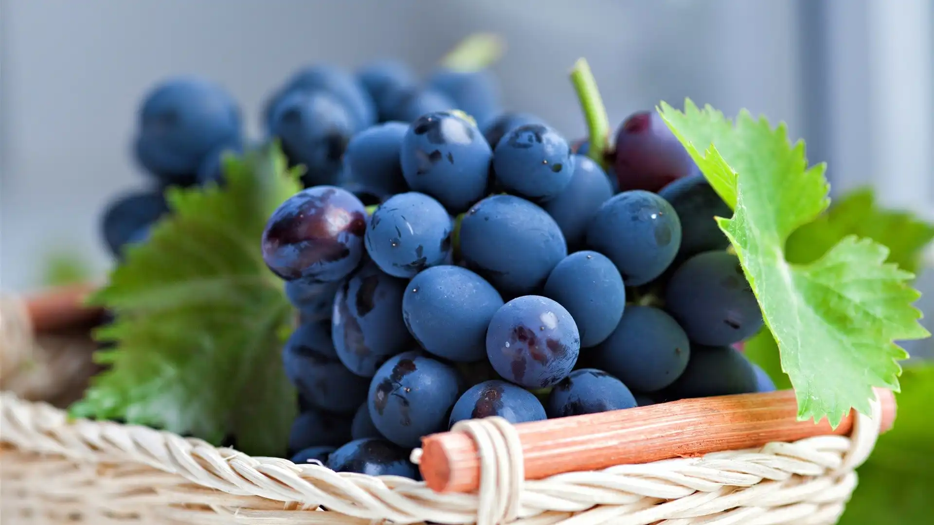 Mmetụta na ojiji kachasị ọhụrụ nke resveratrol