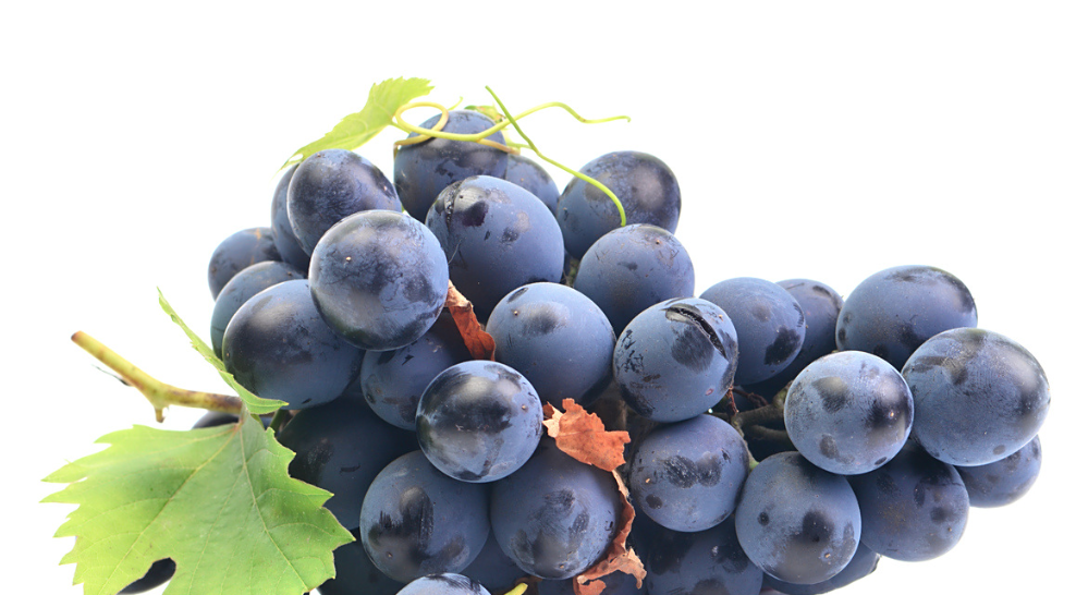 Can resveratrol help in regulating cholesterol levels?