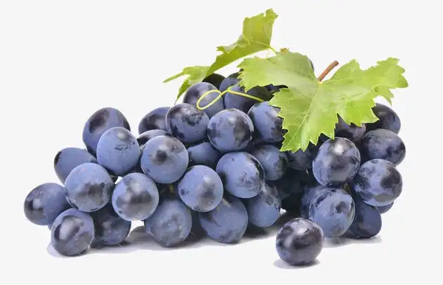 Resveratrol Powder for Heart Health: Key Benefits