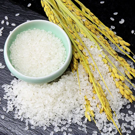 How are Rice Protein Peptides used in supplements?