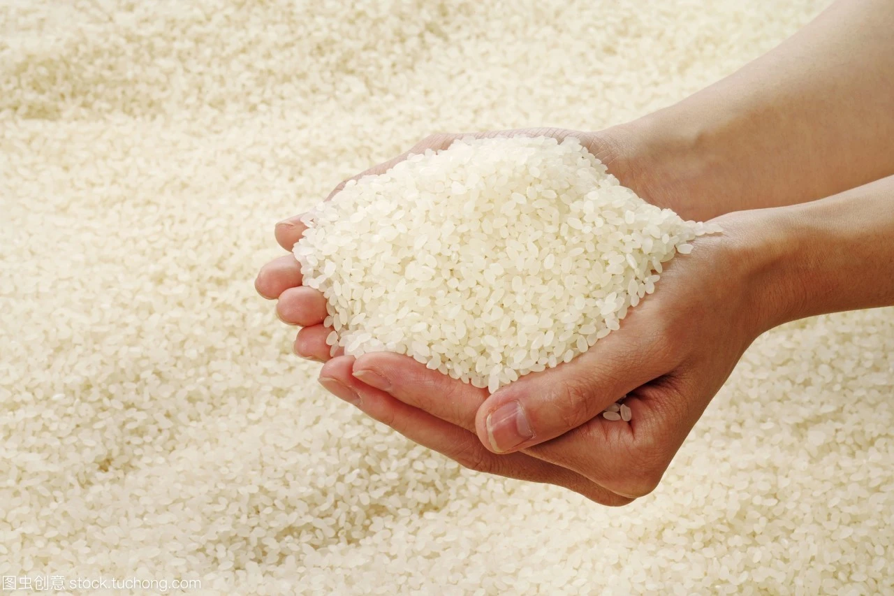 Cardiovascular Health Support: Emerging Roles for Rice Protein Peptides