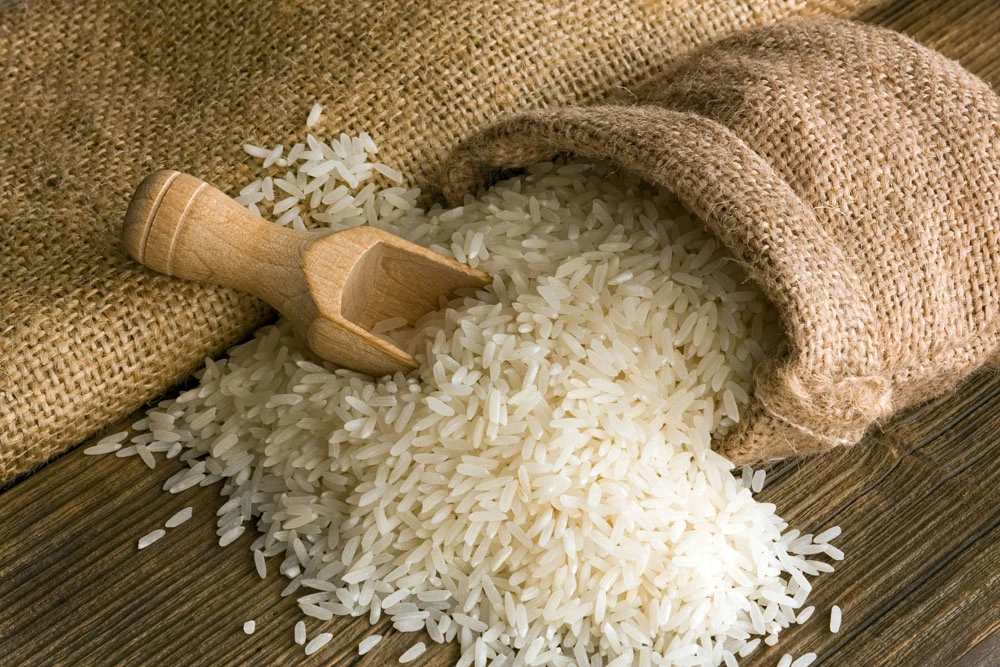 Rice Protein Peptides: Key Ingredient in Sports Nutrition