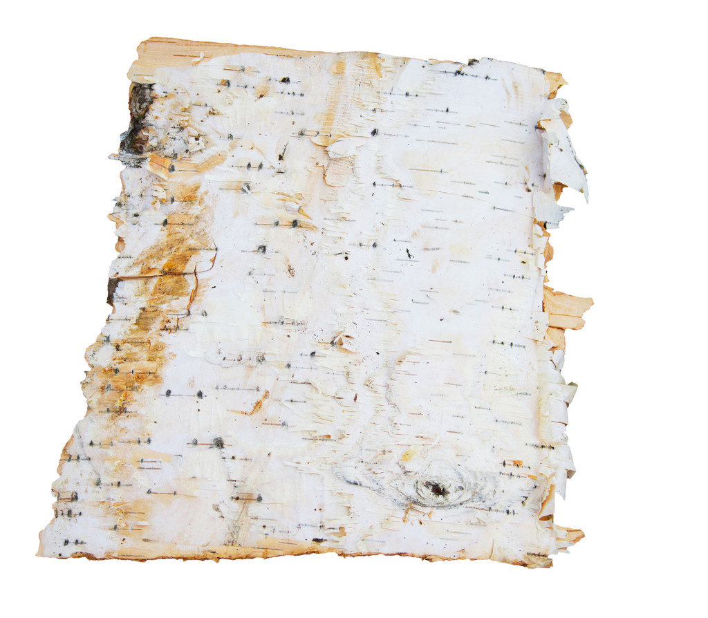 What is betulinic acid powder good for?