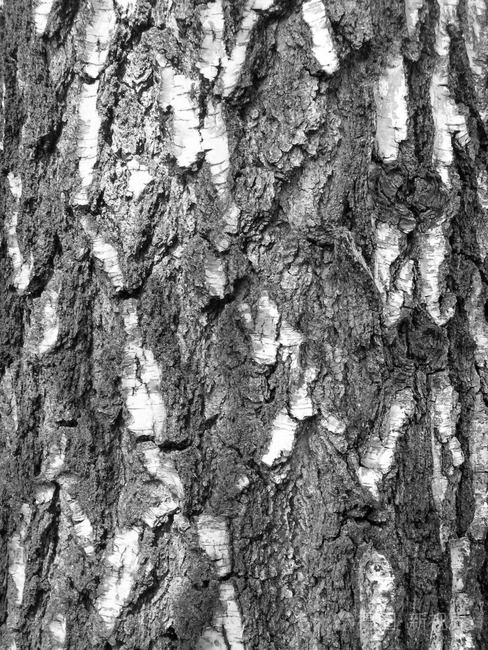 How Does Betulinic Acid Powder Combat Inflammation?