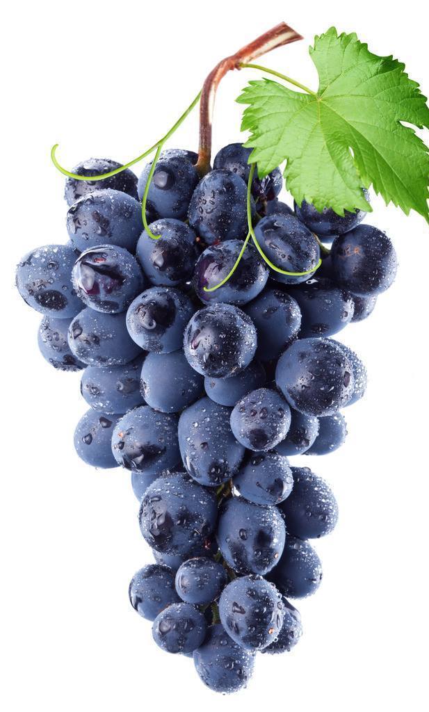 Is resveratrol powder good for skin?