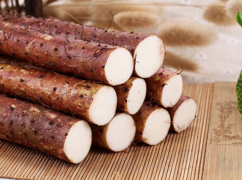 Best Diosgenin Suppliers for Bulk Extract Orders