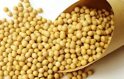 How does genistein powder compare to other isoflavones?