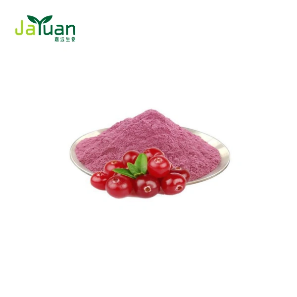 Bulk Cranberry Powder Bulk Cranberry Powder
