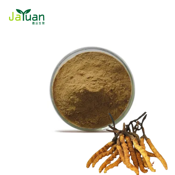 Cordyceps Sinensis на прах Cordyceps Sinensis на прах
