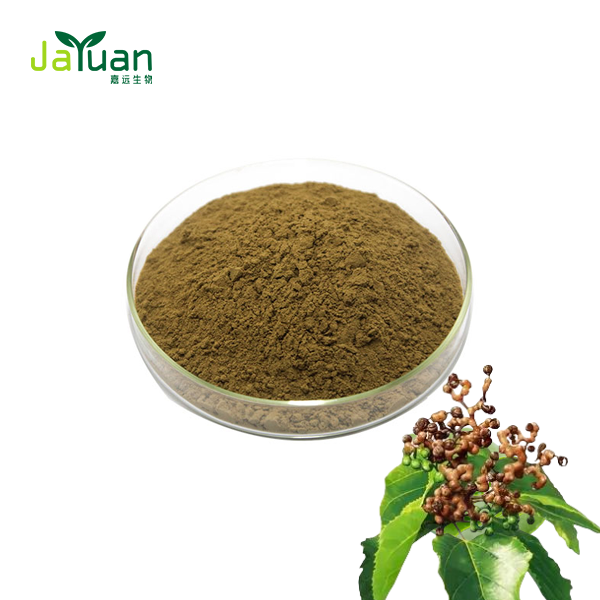 Hovenia Dulcis Extract Hovenia Dulcis Extract