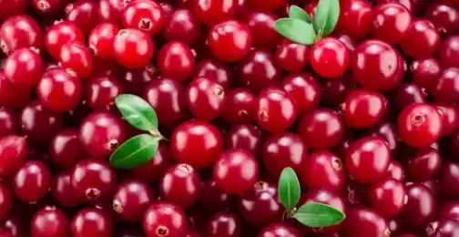 Does Alpha Arbutin Cause Purging?